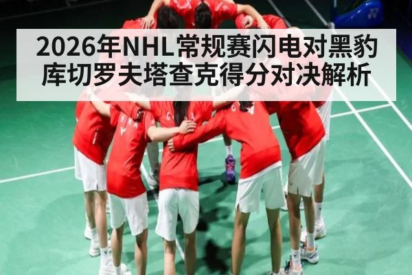 2026年NHL常规赛闪电对黑豹库切罗夫塔查克得分对决解析